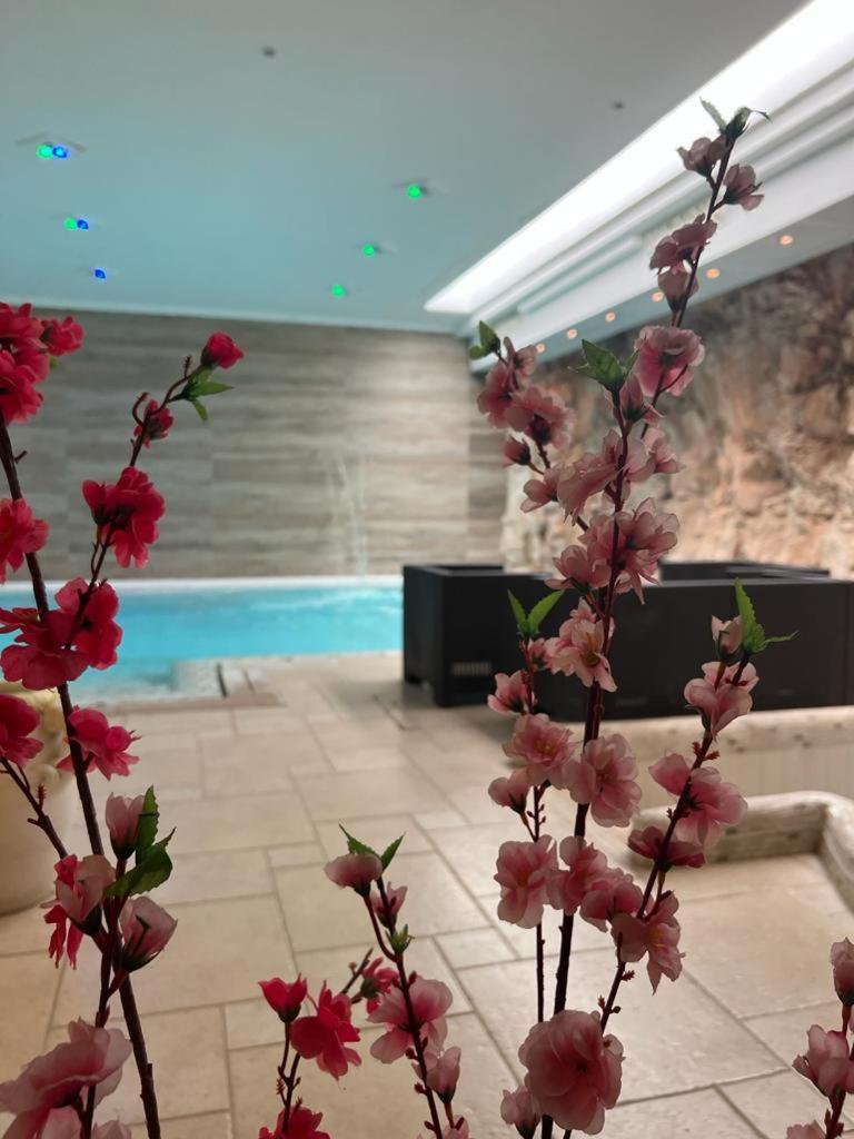 Hotel Madonna Delle Grazie 세글리에 메사피카 외부 사진